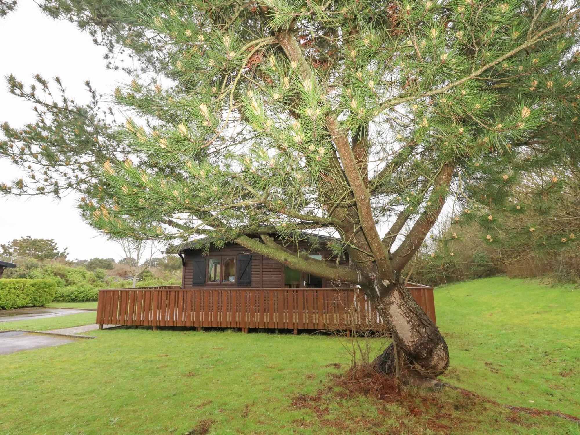 16 Amber Wood Lodge Lymington Luaran gambar